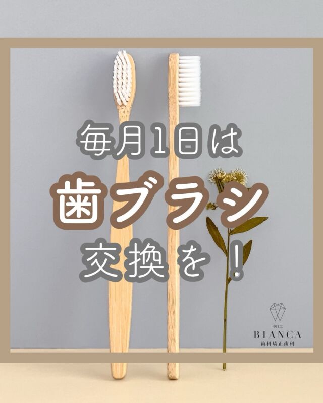 @biancanakameguro ◁他の投稿を見る

いつもご来院いただきありがとうございます✨
【中目黒BIANCA歯科矯正歯科】です🫧

／
毎月1回は
歯ブラシ交換を！
＼

「気づけば何ヶ月も同じ歯ブラシを使ってた…」
「まだ使えるから大丈夫でしょ？」

患者さまからよくいただくお声です！
でも実は同じ歯ブラシを使い続けると…

☑︎汚れが落ちにくい
☑︎菌がたまりやすい
☑︎歯ぐきを傷つける可能性

そのまま使い続けることは、
むし歯や歯周病のリスクを高める要因に

◼️歯ブラシは
　最大1ヶ月で交換が基本！！

☑︎1ヶ月経っていなくても、
　毛先が広がったら即交換
☑︎ご自身に合った歯ブラシを
　選ぶことも大切です！

◼️歯ブラシについての
　ご相談お待ちしております🪥✨

自分にはどんな歯ブラシが合ってるかな…？
とお悩みの方は
お気軽にお声がけくださいね！

 𓈒 𓏸 𓐍  𓂃 𓈒𓏸 𓂃◌𓈒𓐍 𓈒 𓈒 𓏸 𓐍  𓂃 𓈒𓏸 𓂃◌𓈒𓐍 𓈒

中目黒駅から徒歩1分の歯医者🦷
歯を長持ちさせる(再治療がない)・世界基準の治療と
リラックスできる治療空間をご提供いたします。

【予約方法】
プロフィールのURLから
WEB予約がご利用いただけます🫧

歯にお悩みのある方は
お気軽にご相談くださいね🦷

ご予約・ご来院をお待ちしております☺️

 𓈒 𓏸 𓐍  𓂃 𓈒𓏸 𓂃◌𓈒𓐍 𓈒 𓈒 𓏸 𓐍  𓂃 𓈒𓏸 𓂃◌𓈒𓐍 𓈒

💎中目黒BIANCA歯科矯正歯科💎

🕖診療時間
　月　…9:30-20:00
水・木… 7:30-20:00
　金　… 9:30-20:00
　土　… 9:30-19:00
　日　…9:30-14:00

🗓️休診日
火曜・祝日

📞電話番号
03-6451-2175

#中目黒BIANCA歯科矯正歯科
#歯医者 
#歯科 
#中目黒 
#中目黒駅
#中目黒駅前 
#歯ブラシ
#歯ブラシ交換